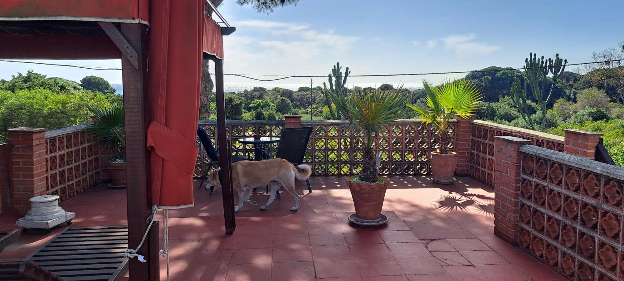 Garden Cottage At Casa Madden Μαρμπέλλα Εξωτερικό φωτογραφία