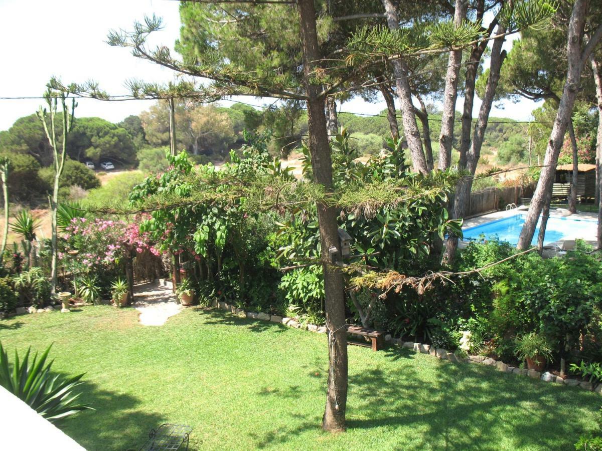 Garden Cottage At Casa Madden Μαρμπέλλα Εξωτερικό φωτογραφία